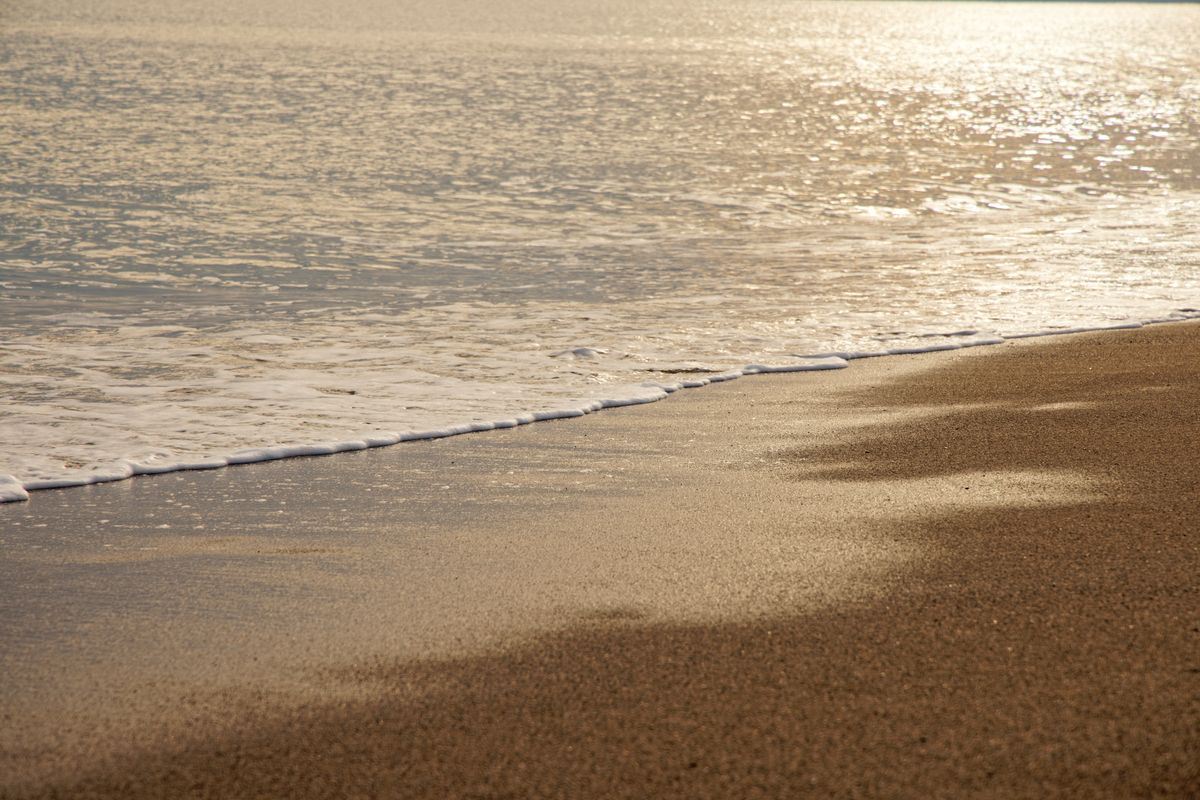 Calm golden shoreline at low tide
